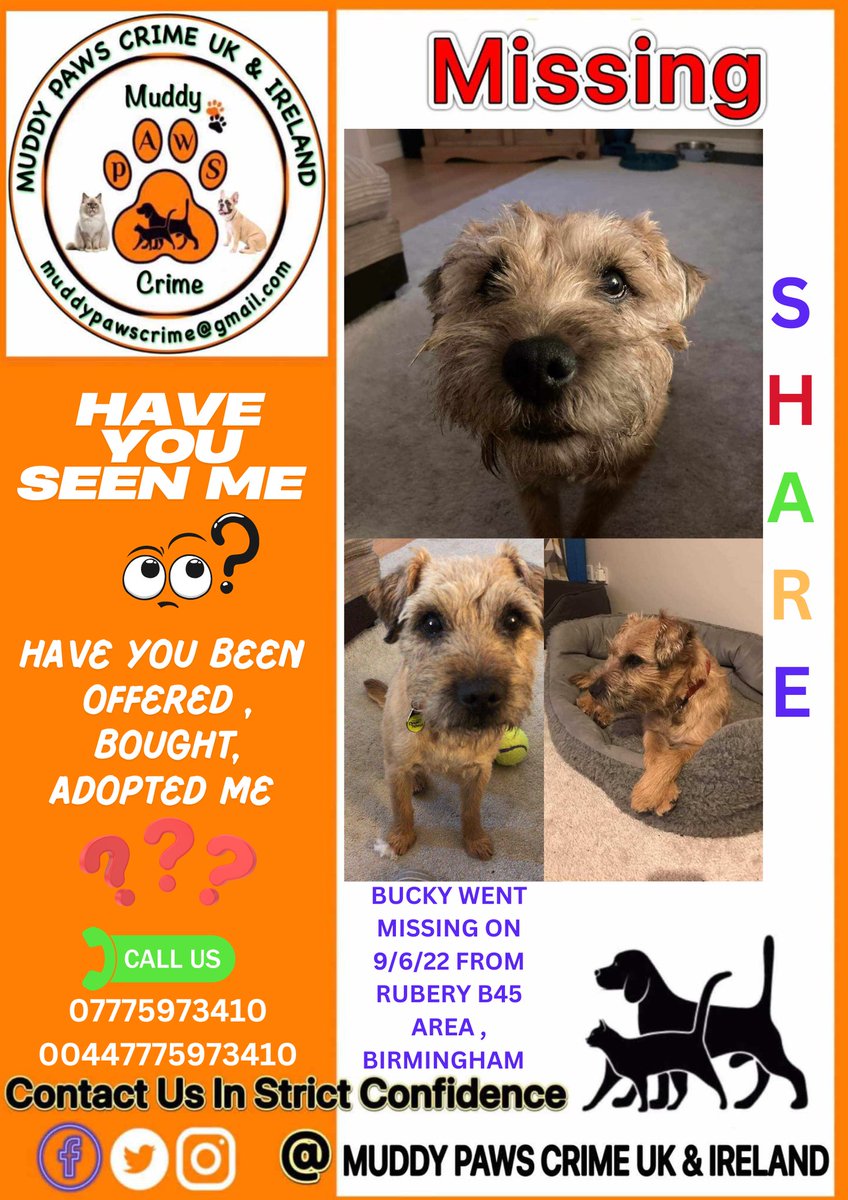 muddypawscrime's tweet image. Somebody MUST have information so we lead with you again please speak to us IN CONFIDENCE
Bucky is a tan border terrier who went missing in the Rubery B45 area of Birmingham on 9th June 2022 .
@MissingPetsGB @HunnyJax