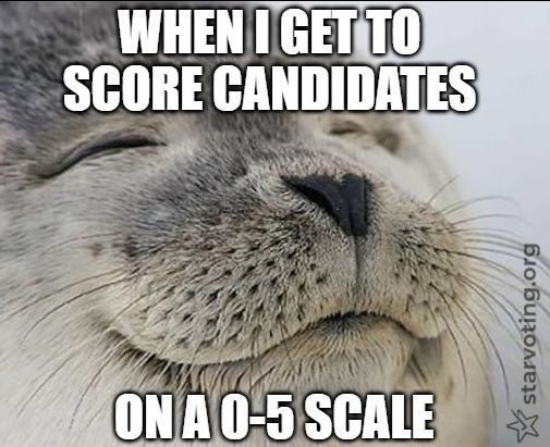 STAR Voting (@5starvoting) on Twitter photo 