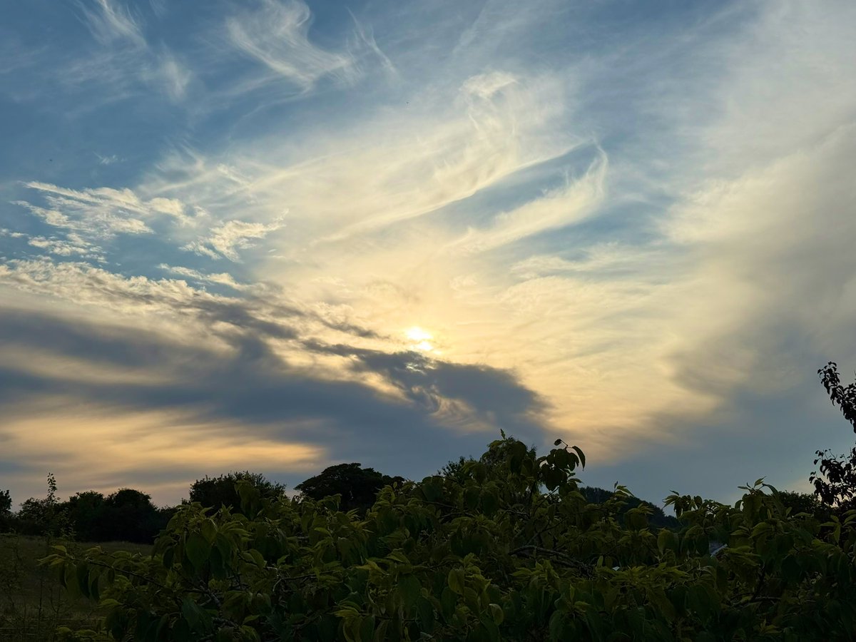 AlastairBruce_'s tweet image. Outside after Wimbledon Final & signs hot weather is abating