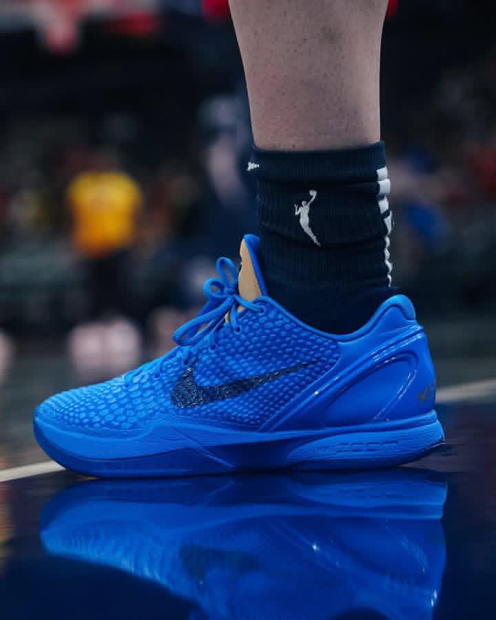 LaceLounge's tweet image. Caitlin Clark debuted the “Cookie Monster” Nike Kobe 6 PE against the Wings tonight 🍪💙

Should Nike drop these or leave ‘em courtside only? 🤔🔥
#caitlinclark #caitlin #nike #nikekobe6 #kobe6 #sesamestreet #cookiemonster #wnba #indianafever