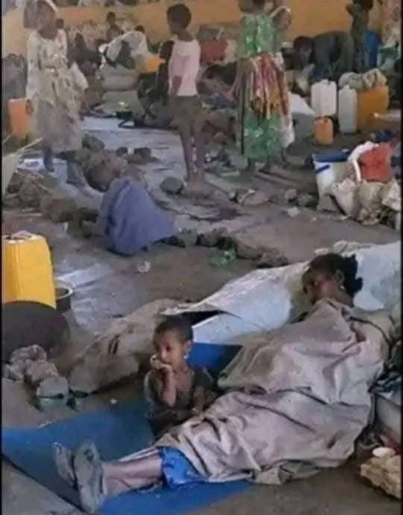 Eyerus🎼 (@eyerustg) on Twitter photo For the last five years,Abiy's regime has put #WesternTigray IDPs through HELL. Nobody should have to live like that.
ENOUGH IS ENOUGH‼️ #ReturnTegaruIDPs & #RestoreTigrayBoundary to its pre-war status quo. <a href="/UN/">United Nations</a>
<a href="/USEmbassyAddis/">U.S. Embassy Addis</a> <a href="/eu_eeas/">European External Action Service - EEAS 🇪🇺</a> <a href="/DavidAltonHL/">Lord (David) Alton</a> <a href="/ymahmoudali/">Mahmoud Ali youssouf</a> <a href="/_AfricanUnion/">African Union</a> For the last five years,Abiy's regime has put #WesternTigray IDPs through HELL. Nobody should have to live like that.
ENOUGH IS ENOUGH‼️ #ReturnTegaruIDPs & #RestoreTigrayBoundary to its pre-war status quo. <a href="/UN/">United Nations</a>
<a href="/USEmbassyAddis/">U.S. Embassy Addis</a> <a href="/eu_eeas/">European External Action Service - EEAS 🇪🇺</a> <a href="/DavidAltonHL/">Lord (David) Alton</a> <a href="/ymahmoudali/">Mahmoud Ali youssouf</a> <a href="/_AfricanUnion/">African Union</a>