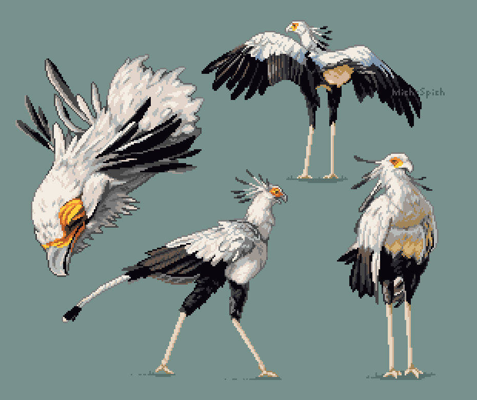 MichSpich's tweet image. Should I do more animal studies?