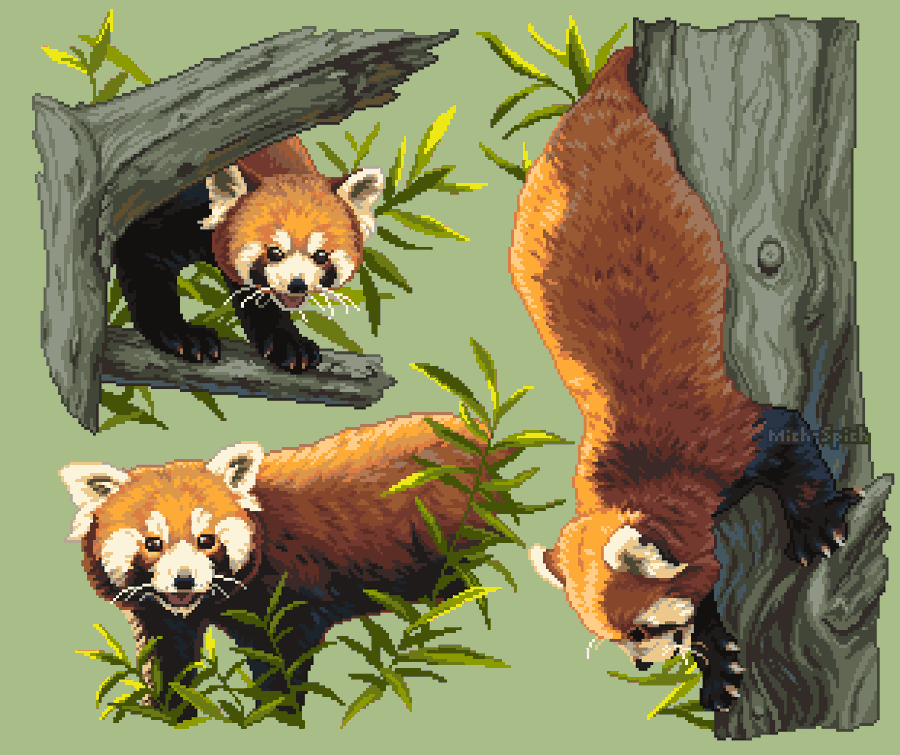 MichSpich's tweet image. Should I do more animal studies?