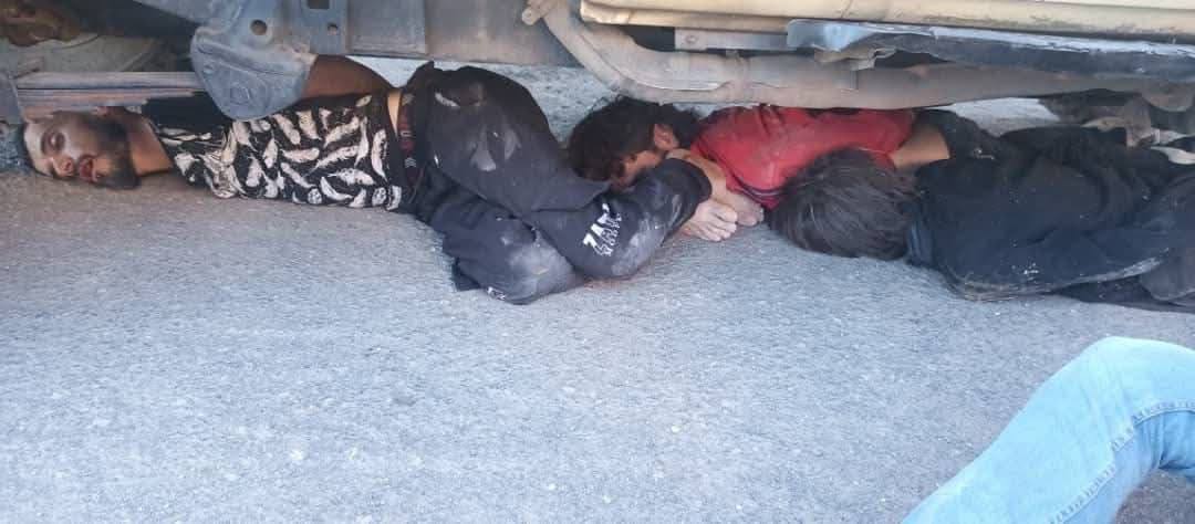 #Suwayda
Assad's remnants from the al-Hijri militias recall their crimes and kill civilians in cold blood, without fear or scruples!