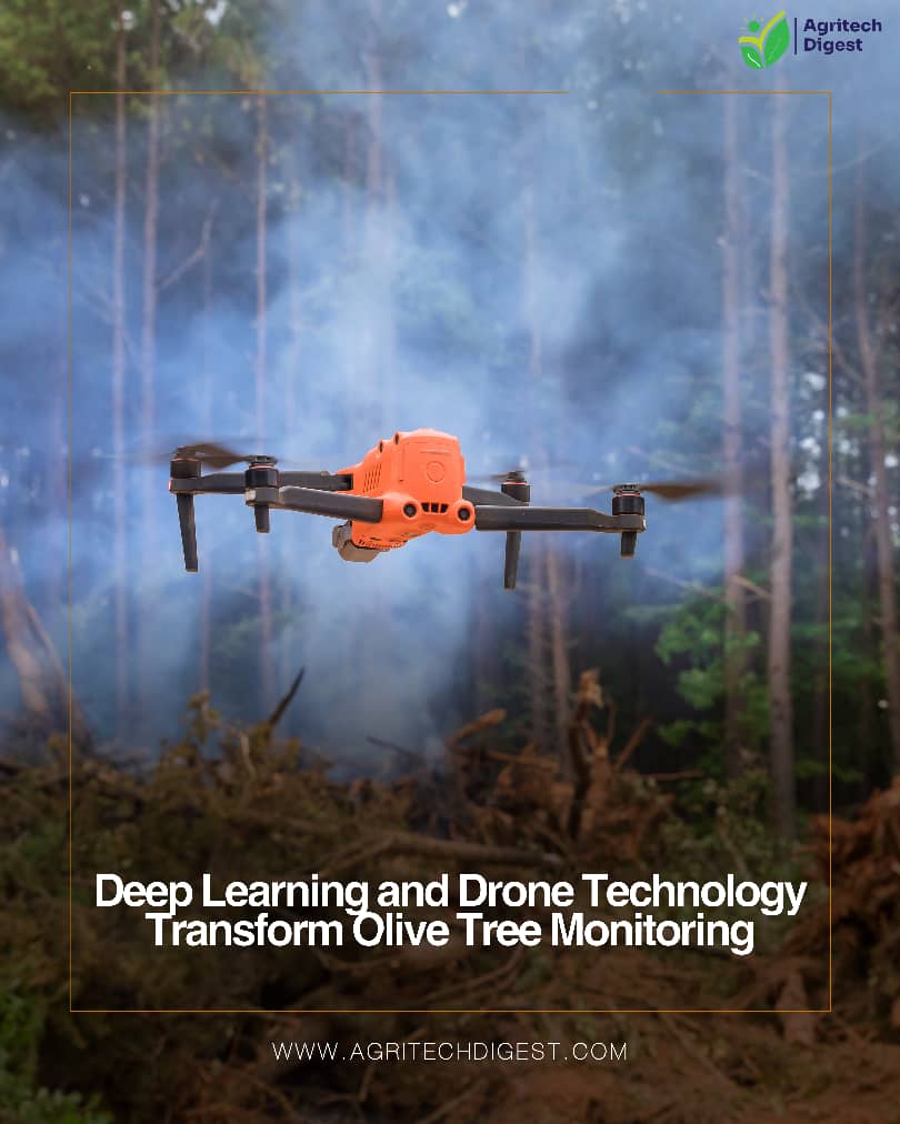 Olive trees are under silent threat.
Now, drones + deep learning are spotting disease signs before they spread.
Faster, smarter, and non-invasive crop health monitoring is here.

Full story 👉 agritechdigest.com/deep-learning-…

#SmartFarming #AIinAg #DroneTechnology #PrecisionAgriculture
