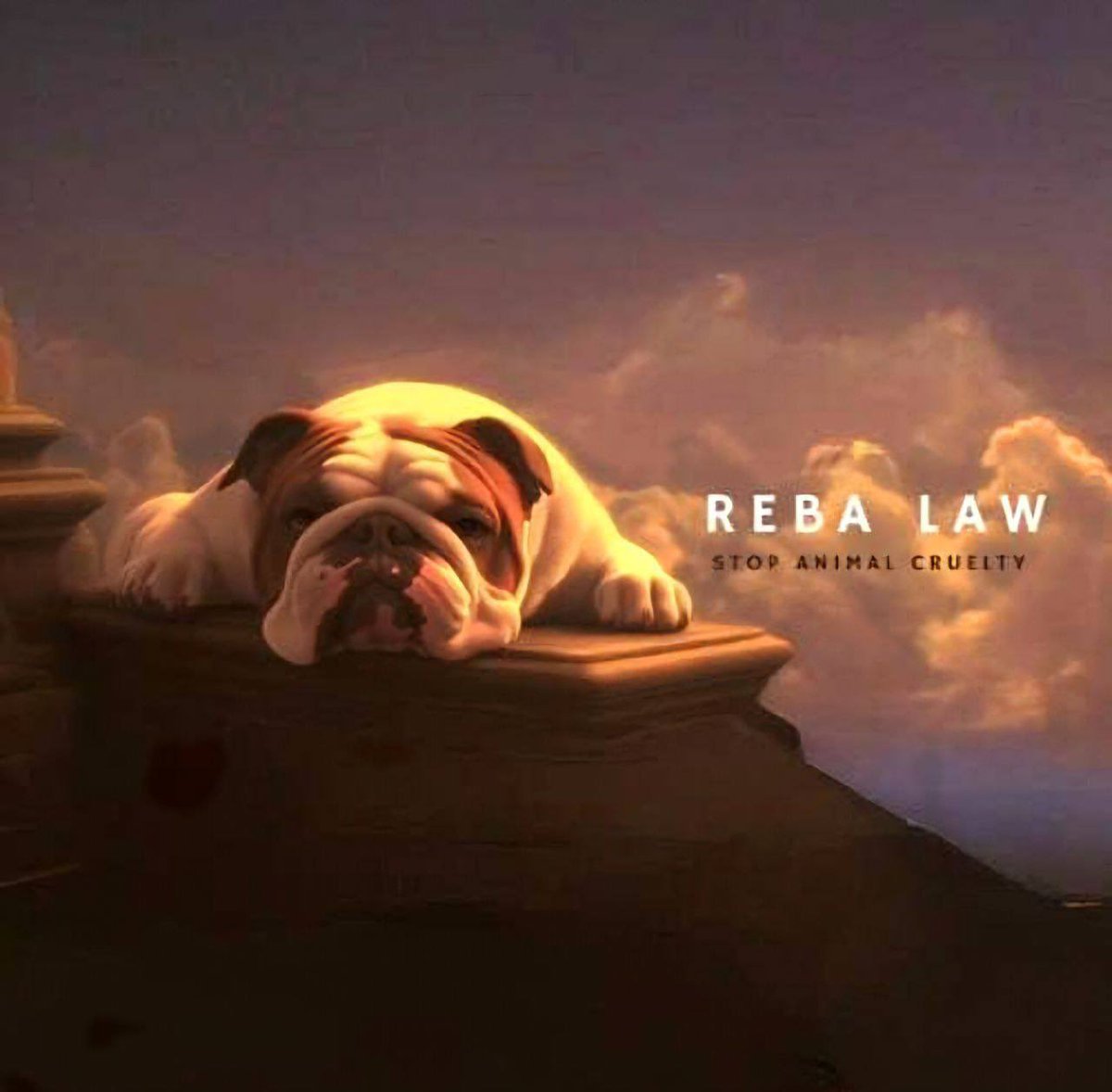 <a href="/nezopro/">Nezo</a> The first and only crypto token to have a law passed 

$REBA

Over 100 days of consolidation at this point. In that time you all have probably seen 100+ tokens rug 

What we are building here takes time, being the nationwide animal ambassador for all animal cruelty