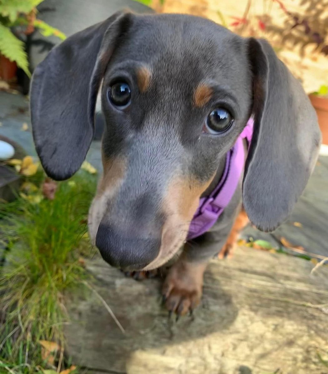 MrsGriffiths7's tweet image. ♥️♥️♥️