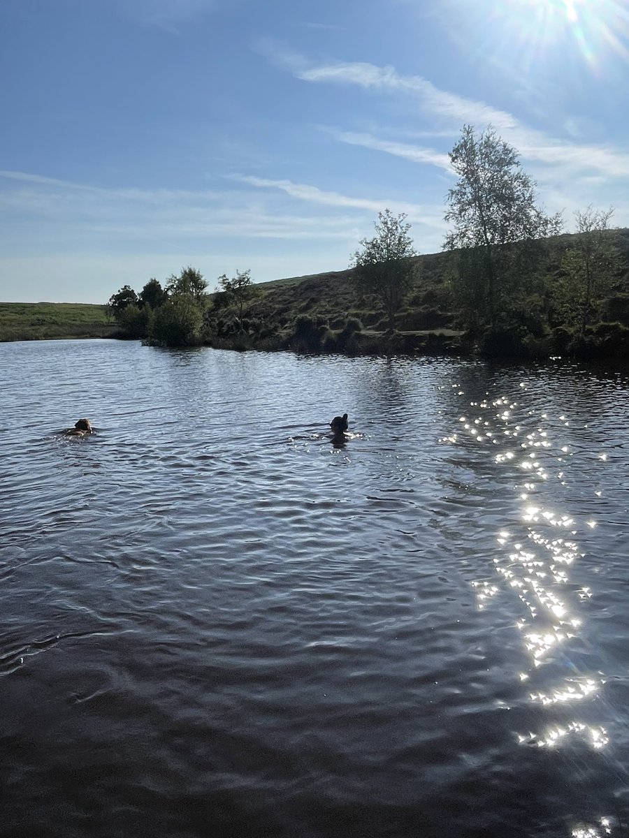 Morning swim with my boy 😍🐾