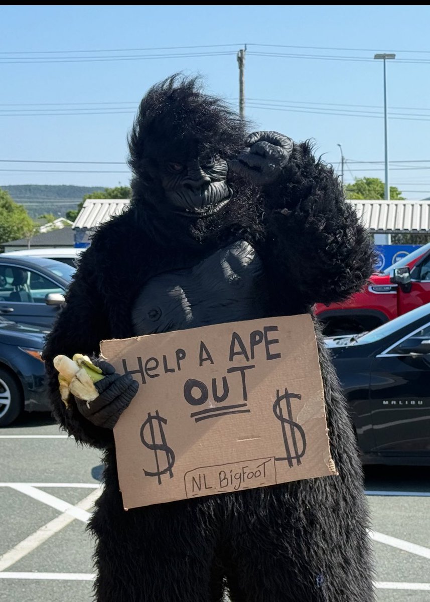 AnthonyGermain's tweet image. Pretty hot OUTside, can’t imagine how hot it is INside 🦍!