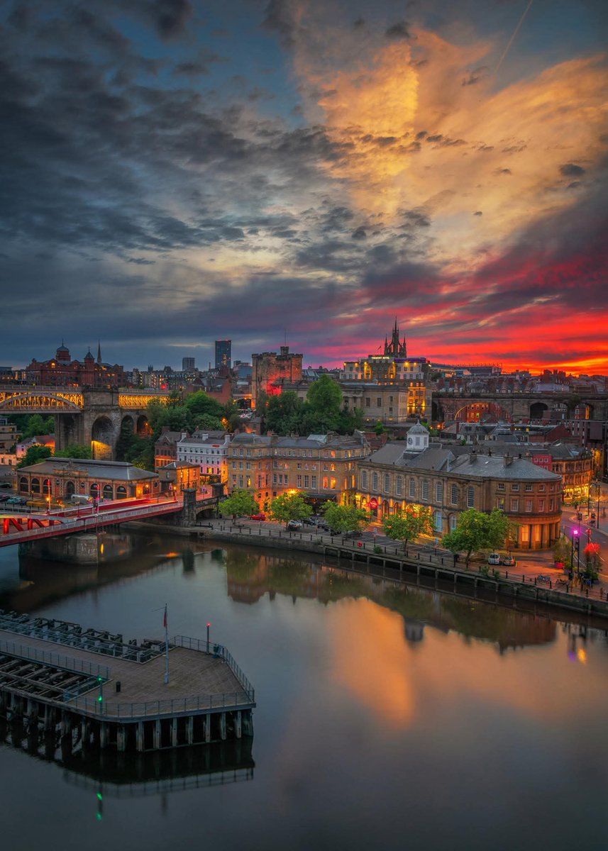 The Toon.