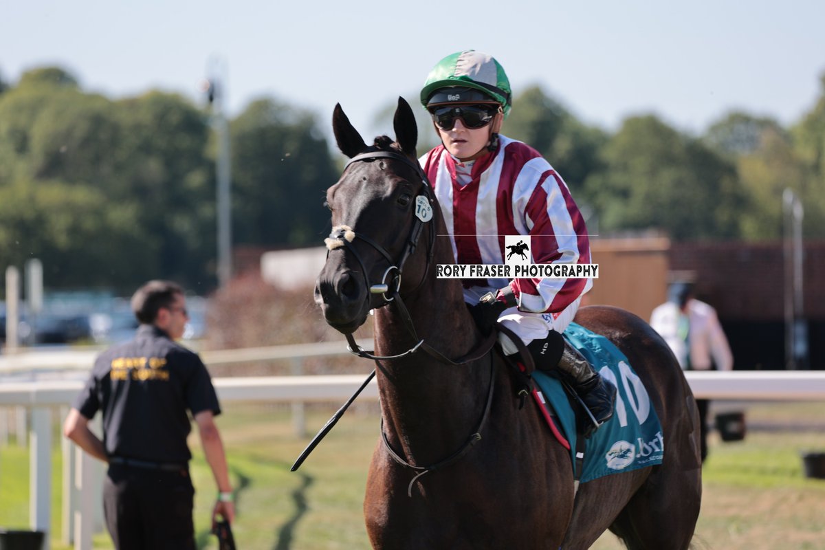 92RoryF's tweet photo. Runner up at York on Friday in the class four 3-y-o handicap (1m), WITHOUTFURTHERADO (Twilight Son x Entrancing)
Trained by Arthur Moore, owned by Mrs A L T Moore and ridden by @HollieDoyle1.
A distant relative to Lowther winner Hooray and placing for the fourth time to date. https://t.co/j7FQqVj3Qk