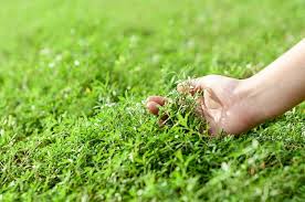 CryptoBit_t's tweet photo. #openseatouchgrass https://t.co/hmXB6iOWvR