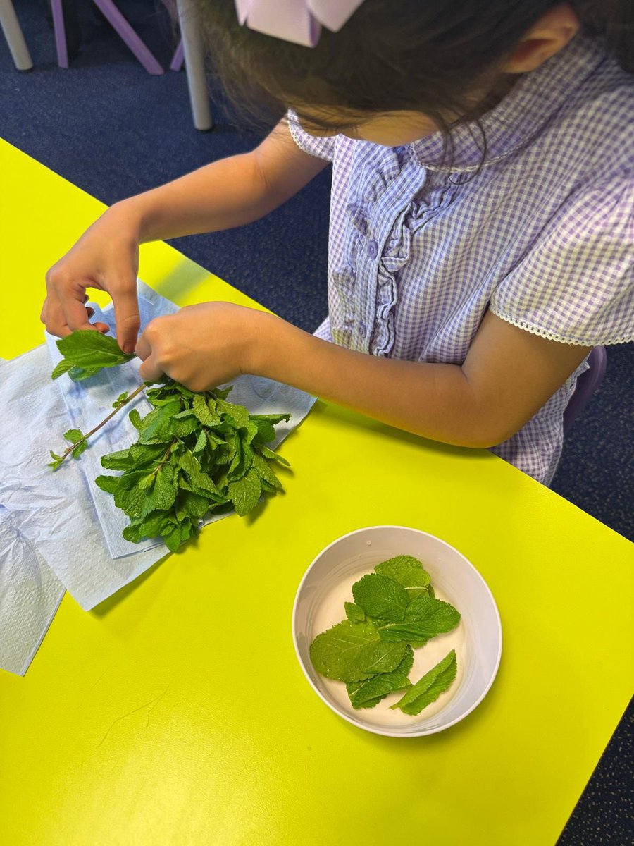 olive_bolton's tweet photo. Year 2 prepping their mocktails #WeAreStar #EnterpriseDay #SummerFair #LoveLearning #Ambition #Teamwork #Enrichment #Summer https://t.co/76Kxj7gcEG