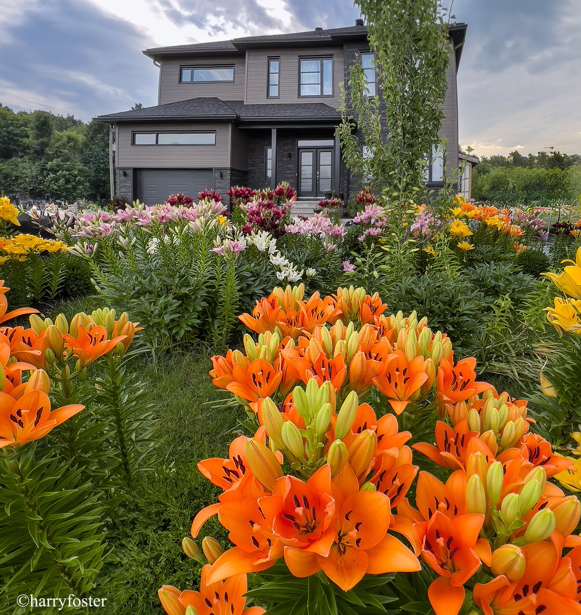 Harry Foster tweet media