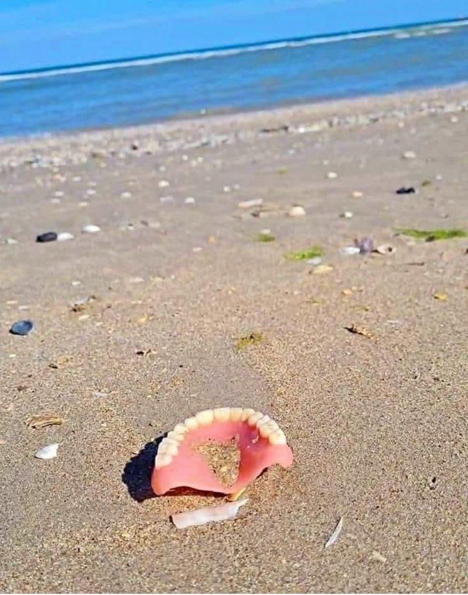 J’ai trouvé un sacré coquillage 😂😂😂😂