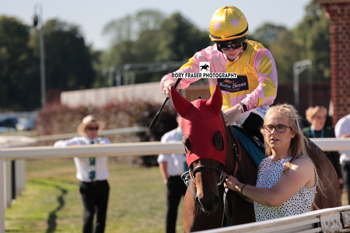Rory Fraser Photography🤘 (@92roryf) on Twitter photo Third at York on Friday in the class four handicap (5f), CURIOUS ROVER (The Irish Rover x Only Live Once)
Trained by <a href="/K_scottracing/">Katie Scott Racing</a>, owned by <a href="/URSAMAJORRACING/">Ursa Major Racing Ltd</a> and ridden by Will Pyle.
A three time winner to date and placed three times this season. Third at York on Friday in the class four handicap (5f), CURIOUS ROVER (The Irish Rover x Only Live Once)
Trained by <a href="/K_scottracing/">Katie Scott Racing</a>, owned by <a href="/URSAMAJORRACING/">Ursa Major Racing Ltd</a> and ridden by Will Pyle.
A three time winner to date and placed three times this season.