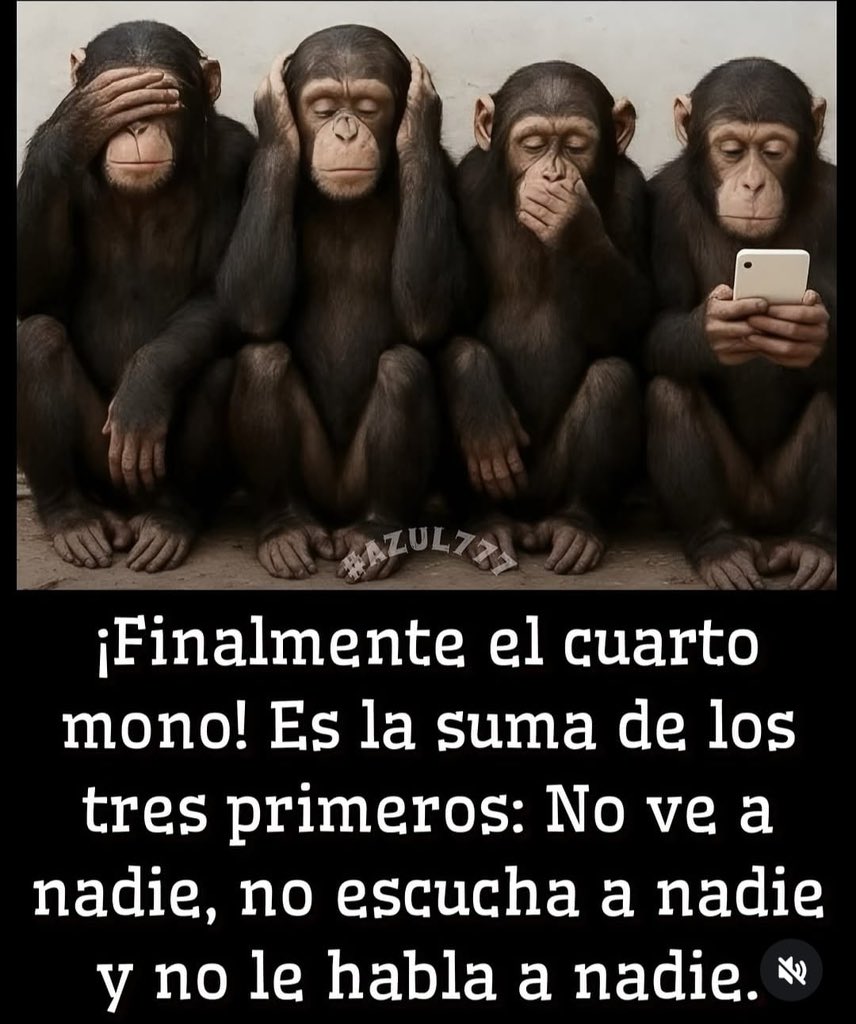 Piolin_amarillo tweet media