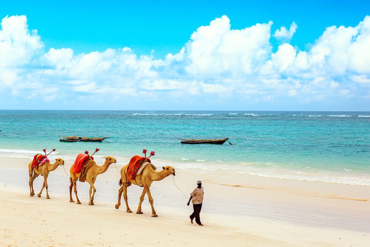 Nobody (@oxygen4ea) on Twitter photo Kenya to Africa & the Caribbean:
No visa. No forms. No stress. Just vibes. โ๏ธ๐
Pull up with your passport, weโve got nyama choma & sunsets waiting.
๐ซ Somalia & Libya, not just yet.
#Passports #VisaFreeAfrica #KenyaStyle #EAC <a href="/jumu/">jeff jumarang</a> Kenya to Africa & the Caribbean:
No visa. No forms. No stress. Just vibes. โ๏ธ๐
Pull up with your passport, weโve got nyama choma & sunsets waiting.
๐ซ Somalia & Libya, not just yet.
#Passports #VisaFreeAfrica #KenyaStyle #EAC <a href="/jumu/">jeff jumarang</a>
