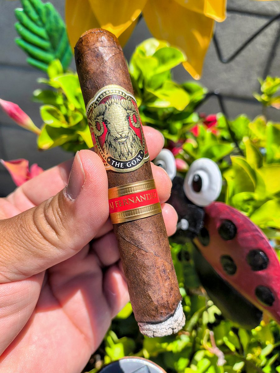 Joey Deez π°π° (@puffsmokenash) on Twitter photo Sparkin π₯π£ up this beaut by Nasser Cigar & <a href="/AJFcigars/">AJF Cigar Co. β
Portfolio β
</a> The Goat with a beaut of a Mexican San Andres Maduro π―π₯π―π₯π―π₯π―π₯π―π₯π―π₯π―π₯π―π₯π―π₯π₯π₯π¨π¨π₯𧨠Sparkin π₯π£ up this beaut by Nasser Cigar & <a href="/AJFcigars/">AJF Cigar Co. β
Portfolio β
</a> The Goat with a beaut of a Mexican San Andres Maduro π―π₯π―π₯π―π₯π―π₯π―π₯π―π₯π―π₯π―π₯π―π₯π₯π₯π¨π¨π₯π§¨