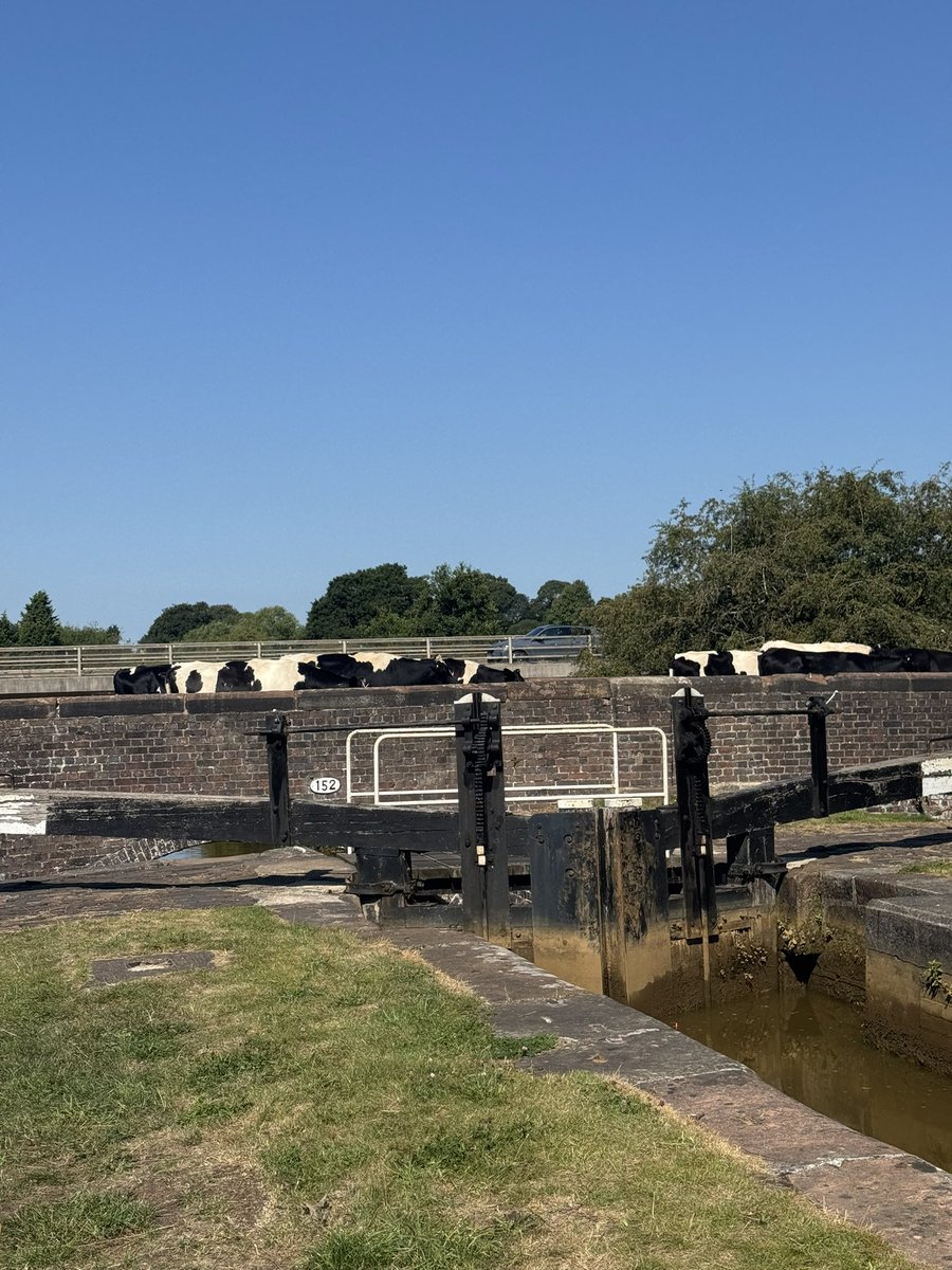 Not too many miles this week so just 666 YTD for #NHS1000miles