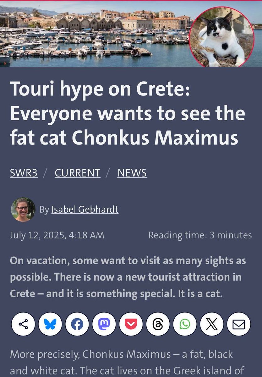 mariooo_sol's tweet image. tell me the last time people were FLYING to a different country to see an animal, yeah moon dat $chonkus