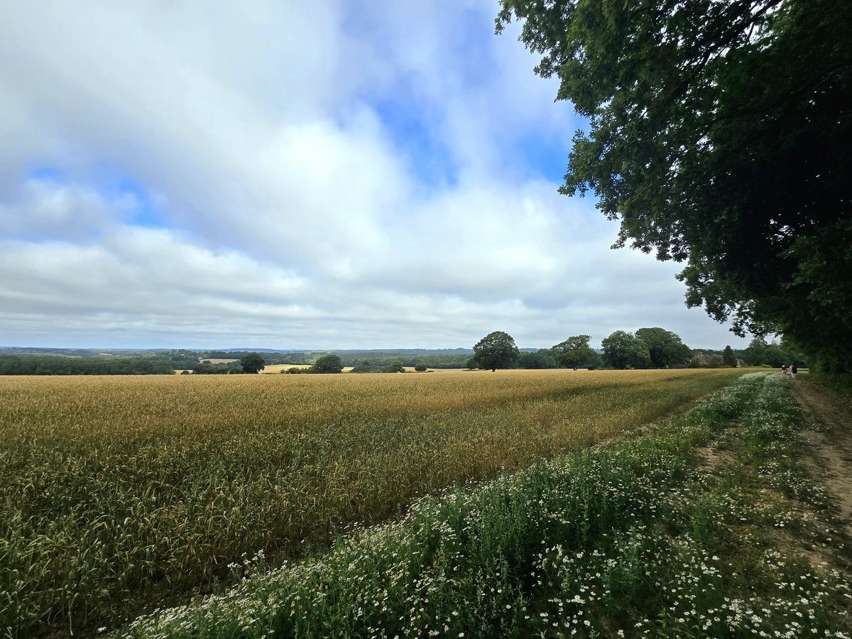 JlpRoger's tweet image. Earlier today. Eridge. Very lucky to live where does with so many good walks #lovewhereyoulive #tunbridgewells #eridge