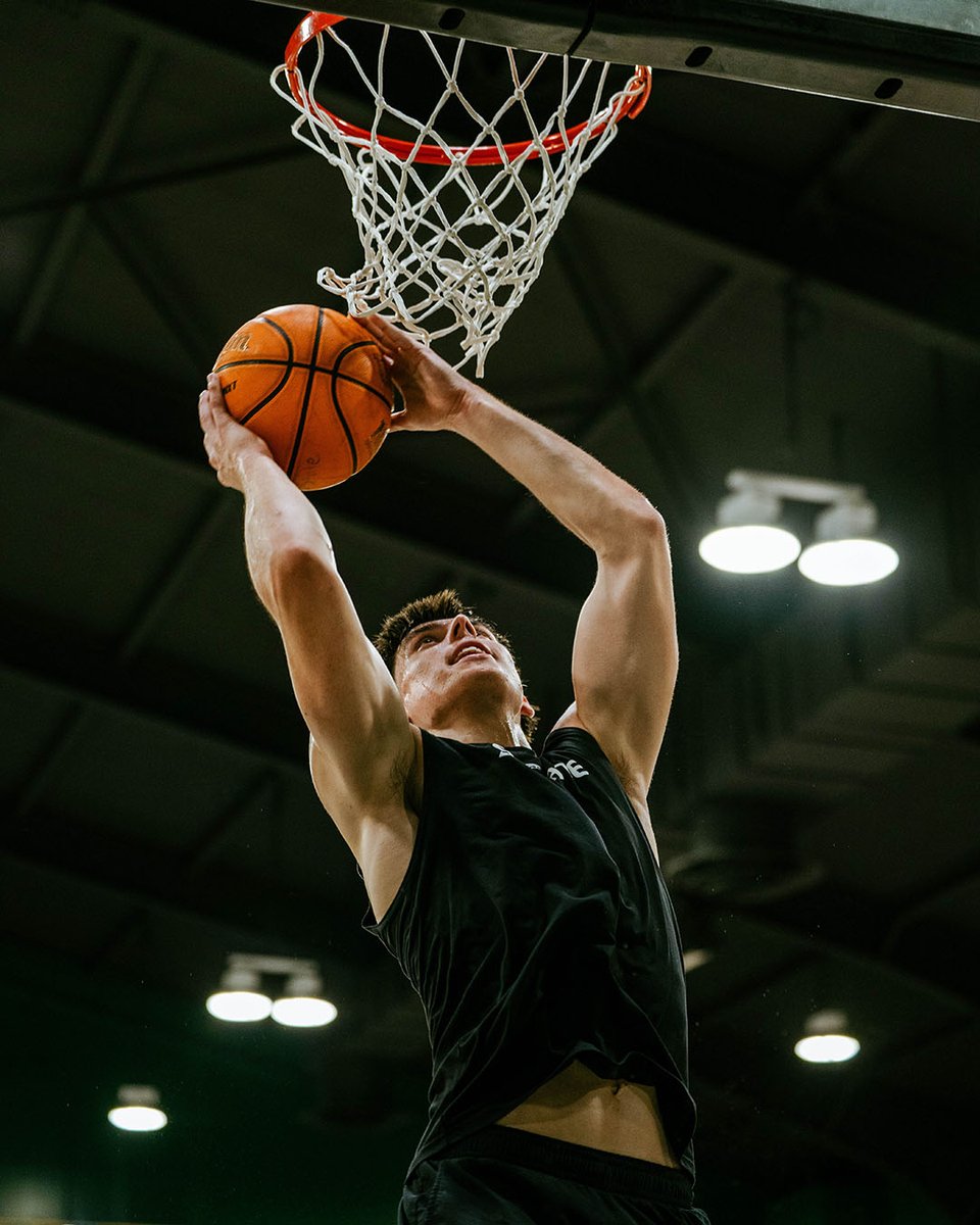 SacHornetsMBB's tweet image. Ready for Week 6⃣ of summer ball 🏀

#StingersUp