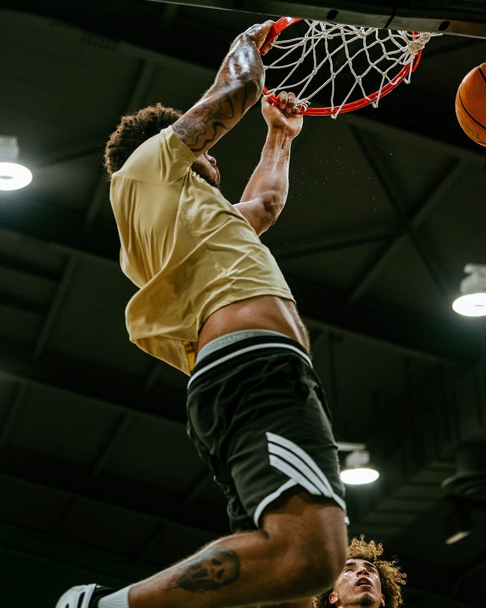 SacHornetsMBB's tweet image. Ready for Week 6⃣ of summer ball 🏀

#StingersUp