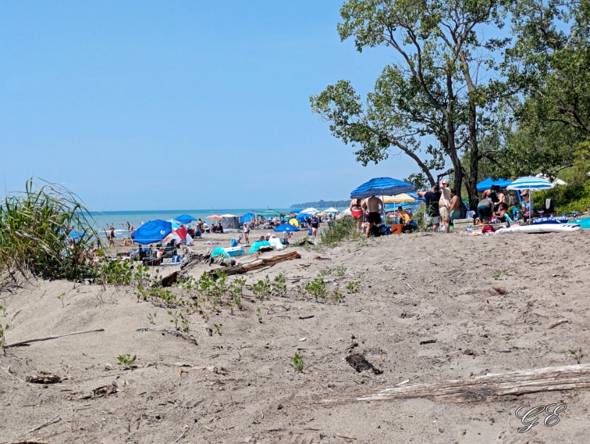 GraceOnFire2's tweet image. 🎶Oh, when the sun beats down and burns the tar up on the roof
And your shoes get so hot you wish your tired feet were fire proof🎶 - The Drifters
Nice to have the beach to myself for awhile before the crowd. Before & After
#photography #beach #LongPoint #summer #LakeErie