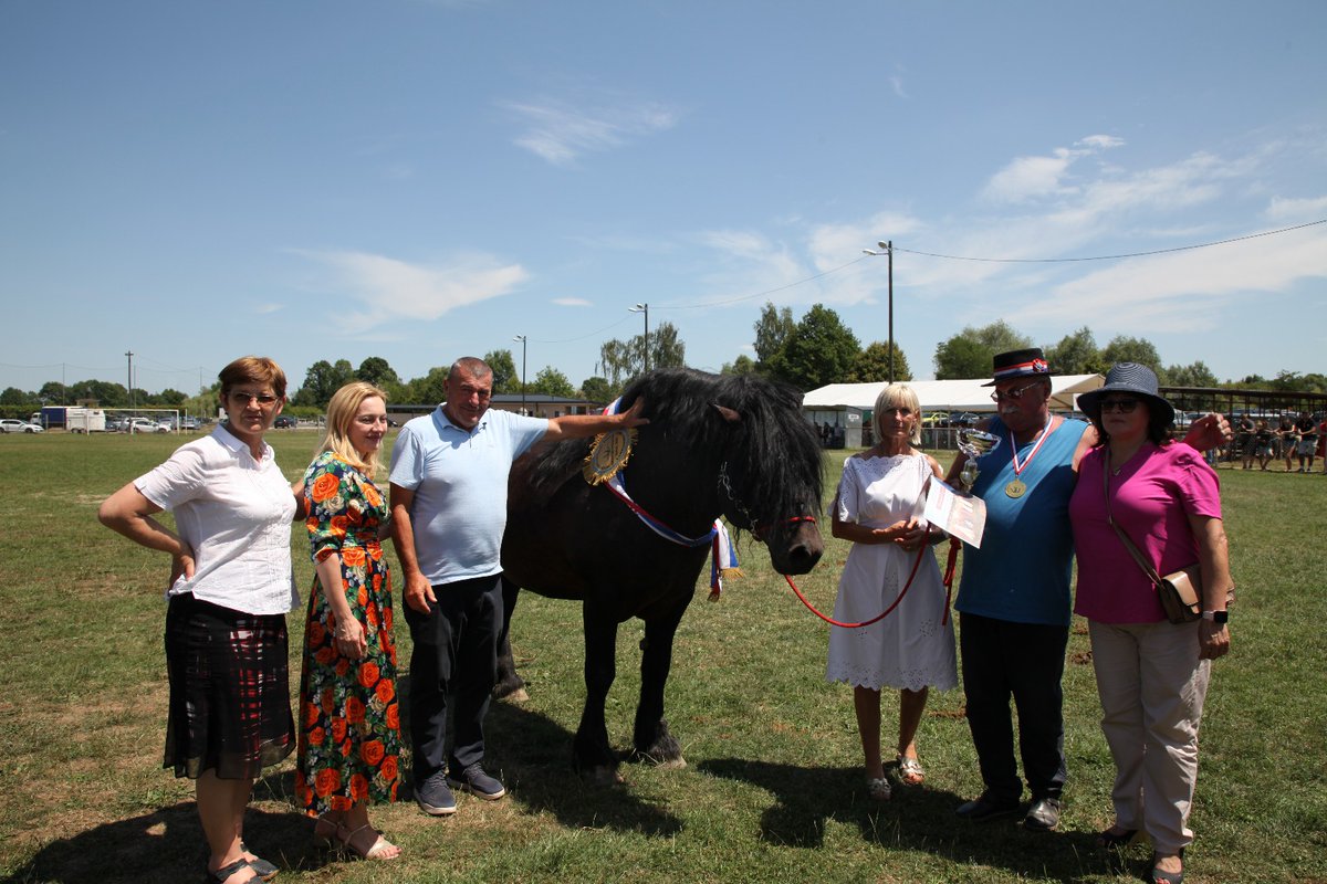 marijana_petir's tweet image. Otvorila sam 29.Državnu konjogojsku izložbu u Sunji koja je okupila impresivan broj grla 🇭🇷 autohtonih pasmina 🐎 Hrvatski posavac i Hrvatski hladnokrvnjak čiji broj stalno raste, kao i broj mladih uzgajivača, pa možemo reći da je konjogojstvo najuspješnija grana poljoprivrede.