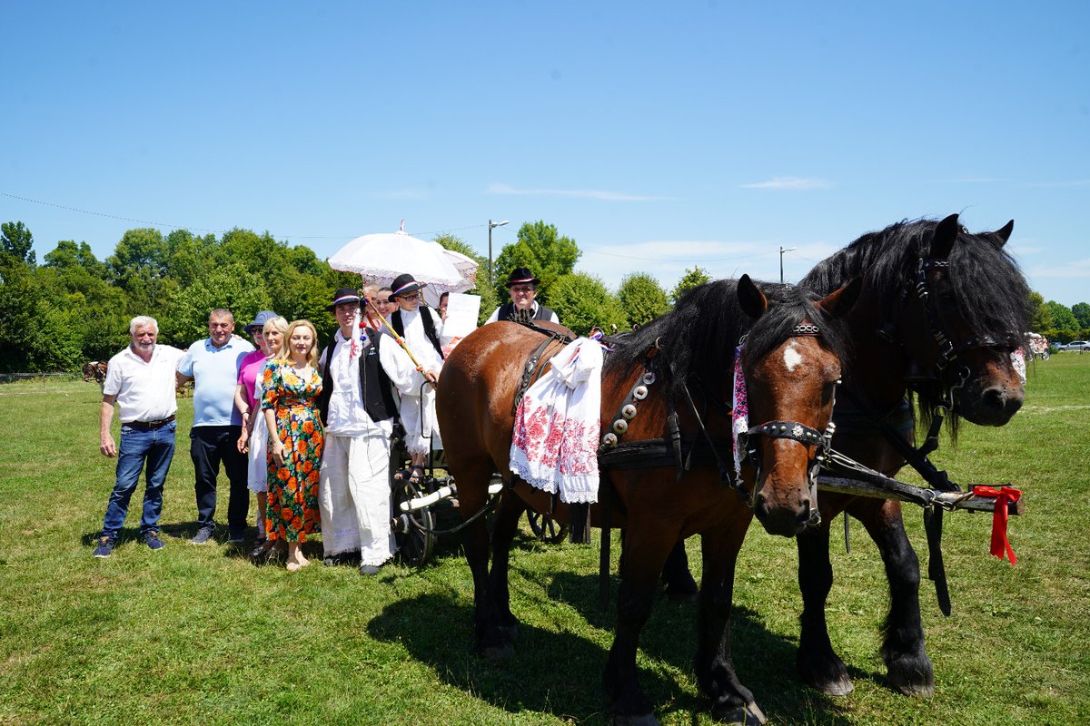 marijana_petir's tweet image. Otvorila sam 29.Državnu konjogojsku izložbu u Sunji koja je okupila impresivan broj grla 🇭🇷 autohtonih pasmina 🐎 Hrvatski posavac i Hrvatski hladnokrvnjak čiji broj stalno raste, kao i broj mladih uzgajivača, pa možemo reći da je konjogojstvo najuspješnija grana poljoprivrede.