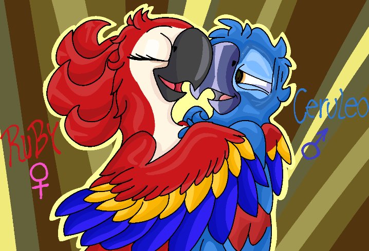 bassybluetoons7's tweet image. 𓅔 ˻Couple FanArt Style˺ 𓅔

⋆｡°✩ | Una pareja de parte de Tobias-Por fin A color En pocas palabras...lindos 💞❤💙 - | ✩°
[Ruby&amp;amp;Ceruleo]&quot;Style Renewed&quot;

&apos;Under The Ligth Of The Show&apos;
Creator of Charaters:@TLG_Arts
Creator Of Style:Bassy

#Bassy #RioMovie #art #DigitalArt