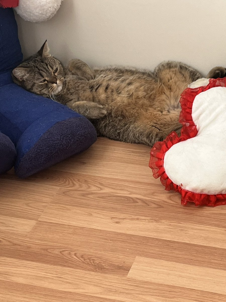 Birader üstüne kuma geldi kalk bi sinirlen bi şey yap dünya sikinde değil aq