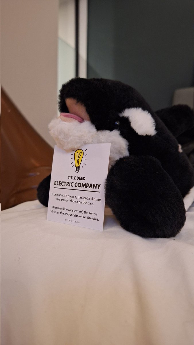 Ickx_Husky's tweet image. New orca plushie from IWAG 2025, thank you very much @Zyntherlock, you're such a good plushie hunter wkwkwkwk