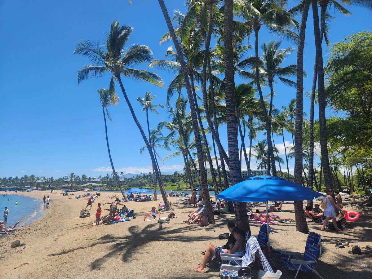 하와이 빅아일랜드 ~