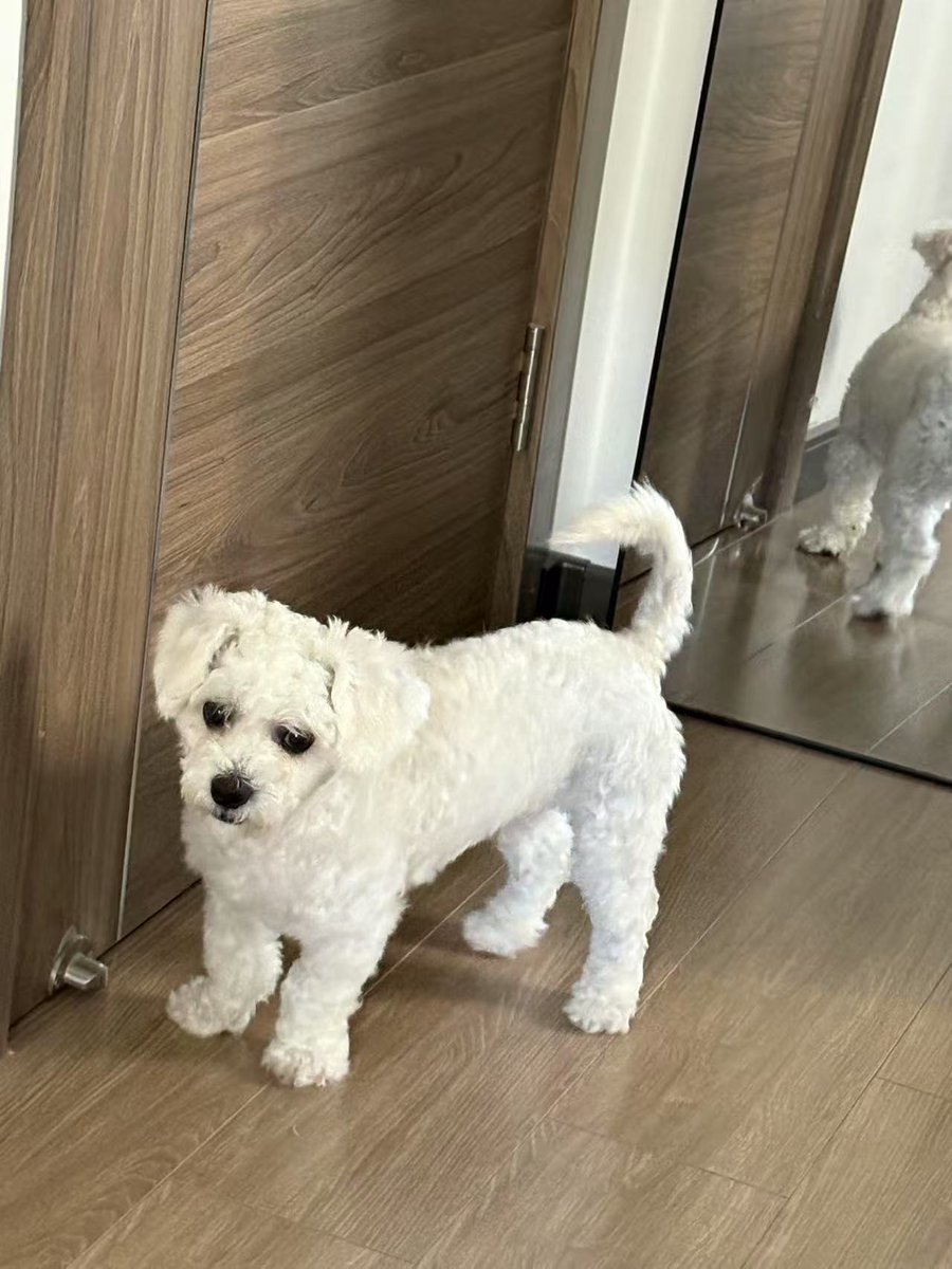 邮差马龙 (@ex_malone) on Twitter photo 