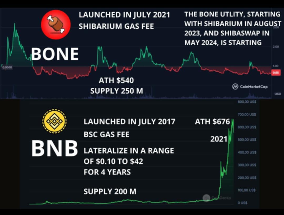 emillionairer's tweet photo. Just a friendly reminder #shibarmy #bonenafide !!! Keep stocking up #Shibarium #gastoken #bone https://t.co/zroPo7dvrA