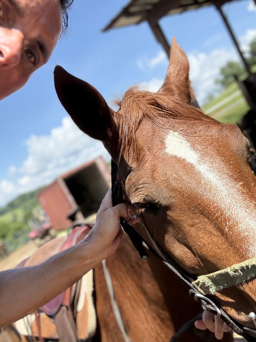barrydlee1's tweet image. Took a little horse ride in Pigeon Forge this weekend. A good time! 🐎⛰️
#SmokyMountains #HorsebackRiding