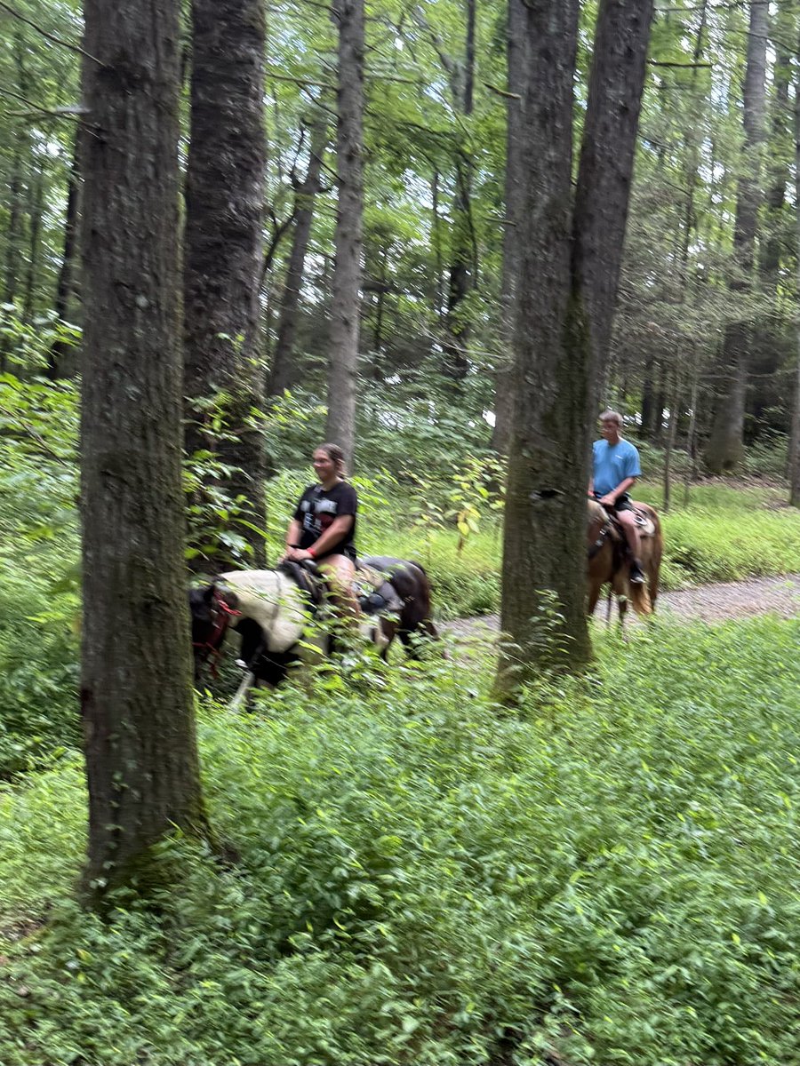 barrydlee1's tweet image. Took a little horse ride in Pigeon Forge this weekend. A good time! 🐎⛰️
#SmokyMountains #HorsebackRiding
