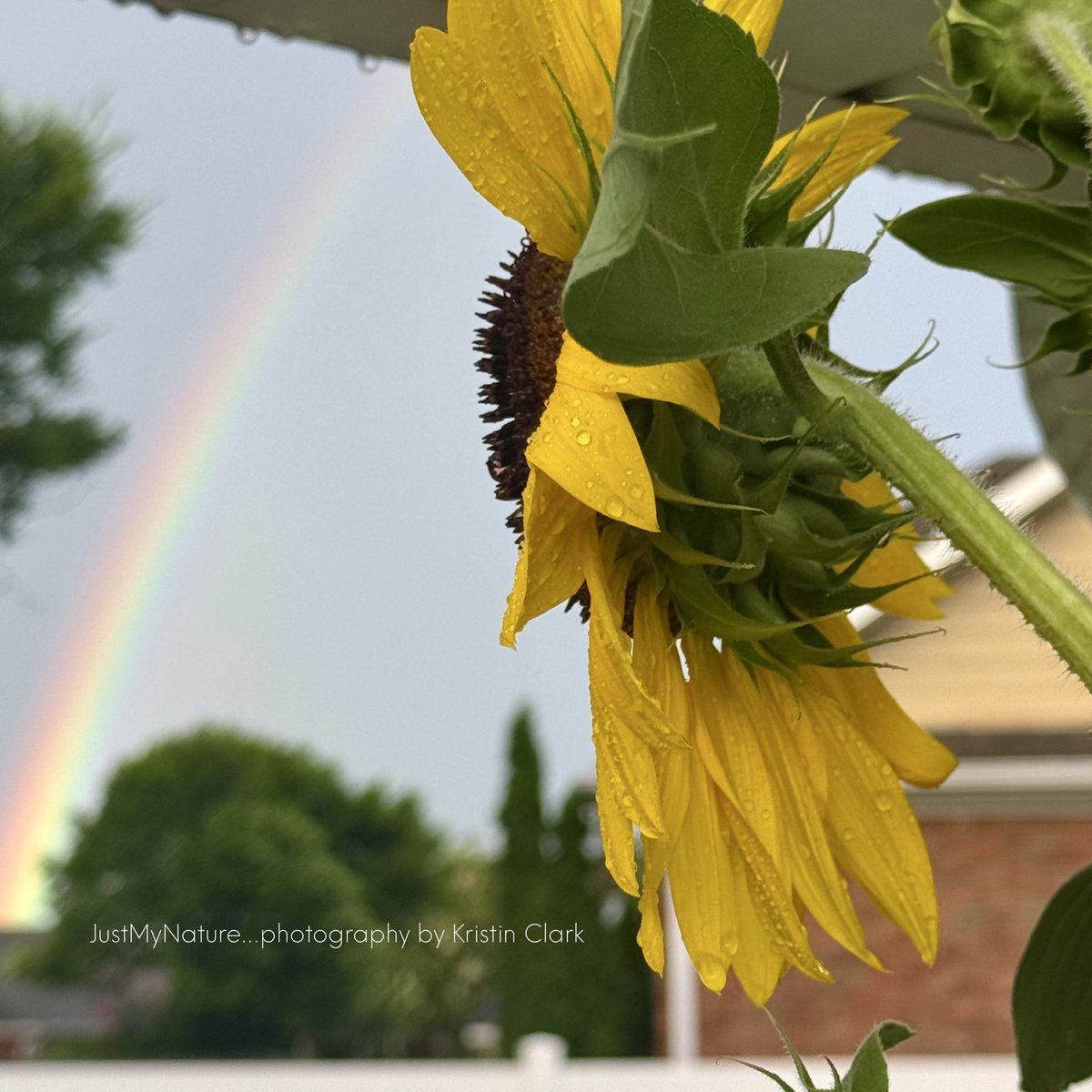 Kristin Clark (@_justmynature) on Twitter photo Beautiful rainbow over Hampton Cove AL just now! <a href="/spann/">James Spann</a> <a href="/DanielleDozier/">Danielle Dozier News 19</a> <a href="/BenSmith_WHNT/">Ben Smith</a> <a href="/CamutoWHNT/">Jessica Camuto</a> <a href="/JDESNOYERSWAFF/">Jeff Desnoyers WAFF 48</a> <a href="/WEATHERmanBURKE/">Eric Burke WAFF 48</a> @aarona_wx @anellowx @robelvington
<a href="/JDressmanWX/">Jordan Dressman</a> <a href="/EmilyOwenWX/">Emily Owen</a> <a href="/AmberKulick_wx/">Amber Kulick โ๏ธ</a> <a href="/laabsTWC/">Tom Laabs</a> <a href="/NWSHuntsville/">NWS Huntsville</a> @simpsonwvtm13 #valleywx Beautiful rainbow over Hampton Cove AL just now! <a href="/spann/">James Spann</a> <a href="/DanielleDozier/">Danielle Dozier News 19</a> <a href="/BenSmith_WHNT/">Ben Smith</a> <a href="/CamutoWHNT/">Jessica Camuto</a> <a href="/JDESNOYERSWAFF/">Jeff Desnoyers WAFF 48</a> <a href="/WEATHERmanBURKE/">Eric Burke WAFF 48</a> @aarona_wx @anellowx @robelvington
<a href="/JDressmanWX/">Jordan Dressman</a> <a href="/EmilyOwenWX/">Emily Owen</a> <a href="/AmberKulick_wx/">Amber Kulick โ๏ธ</a> <a href="/laabsTWC/">Tom Laabs</a> <a href="/NWSHuntsville/">NWS Huntsville</a> @simpsonwvtm13 #valleywx