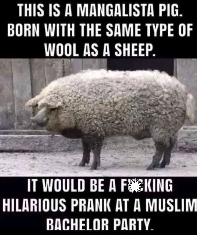 DonnaG1685411's tweet image. Got pork? 😂😂😂😂😂