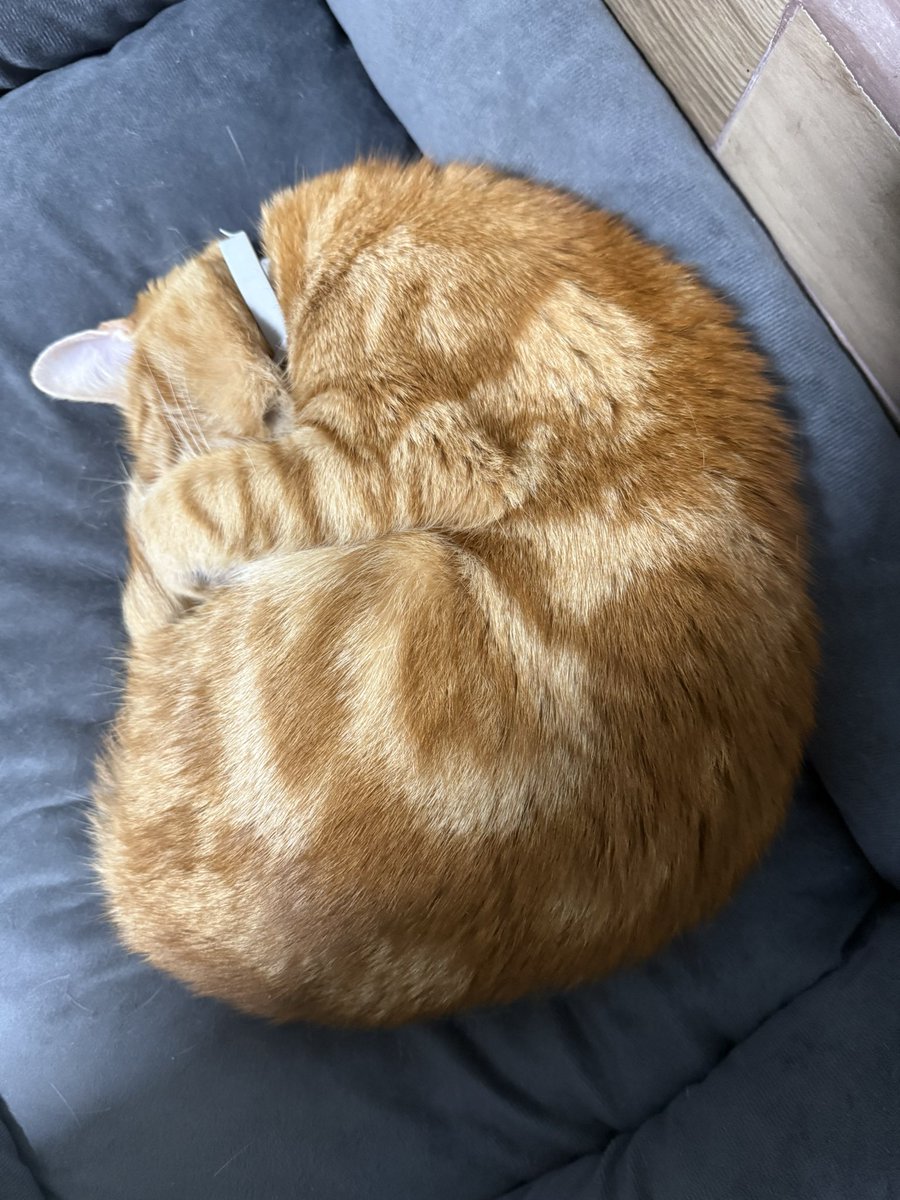 Se tapa la carita. Téngase presente.