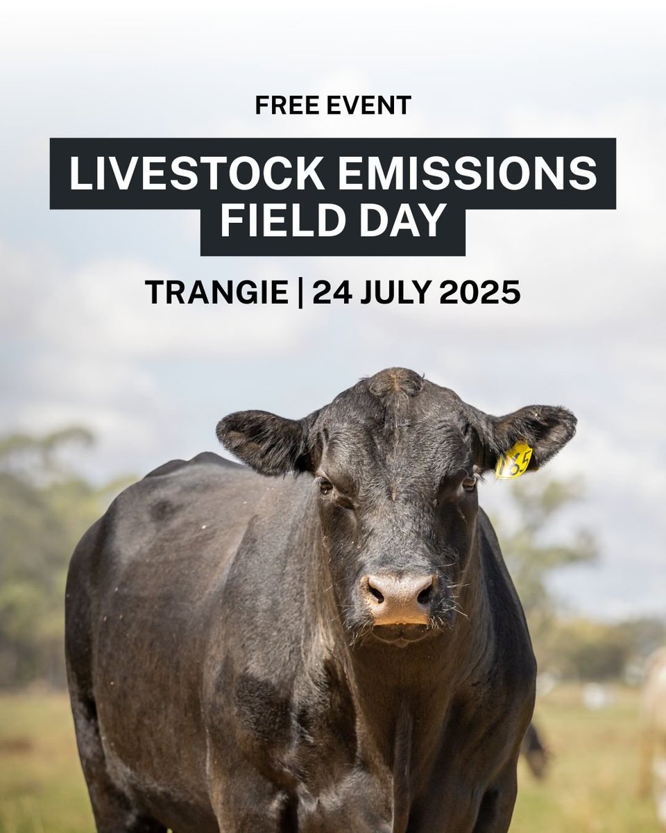 Trangie Agricultural Research Centre (@trangiec) on Twitter photo Livestock Emissions Field Day
Hear about carbon, emissions & DPIRD's research re low methane livestock, measurement tools, low methane pasture species & feed additives.
📅9:00am – 3:30pm
RSVP now: events.humanitix.com/trangie-field-…
<a href="/UniNewEngland/">Uni of New England</a> <a href="/DPI_DigitalAg/">NSW Climate and Digital Agriculture</a> <a href="/meatlivestock/">Meat & Livestock Australia</a> Livestock Emissions Field Day
Hear about carbon, emissions & DPIRD's research re low methane livestock, measurement tools, low methane pasture species & feed additives.
📅9:00am – 3:30pm
RSVP now: events.humanitix.com/trangie-field-…
<a href="/UniNewEngland/">Uni of New England</a> <a href="/DPI_DigitalAg/">NSW Climate and Digital Agriculture</a> <a href="/meatlivestock/">Meat & Livestock Australia</a>