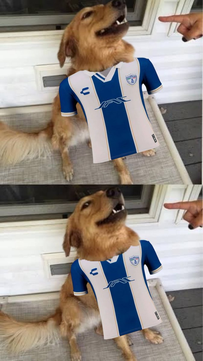 MemoUV's tweet photo. No te vayas a ilusionar con los @Tuzos con la Jornada #1

Empezamos el hilo 1/17. #Tuzos #Pachuca #LigaMx #Fútbol https://t.co/d3Q7l2AZ0A