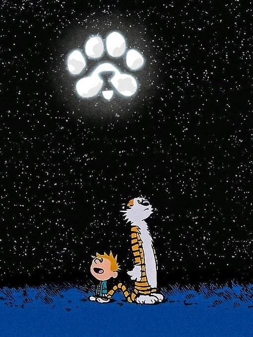 PAWS_AR's tweet photo. HIGHER https://t.co/rL5QS3Xi4k