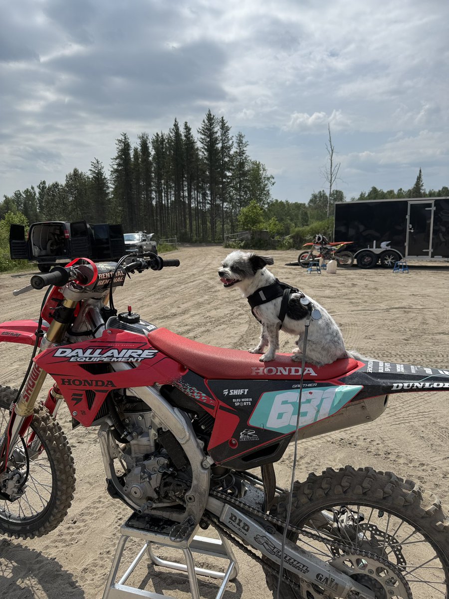 Bay-Bee Blue ® (@beddyromin) on Twitter photo 