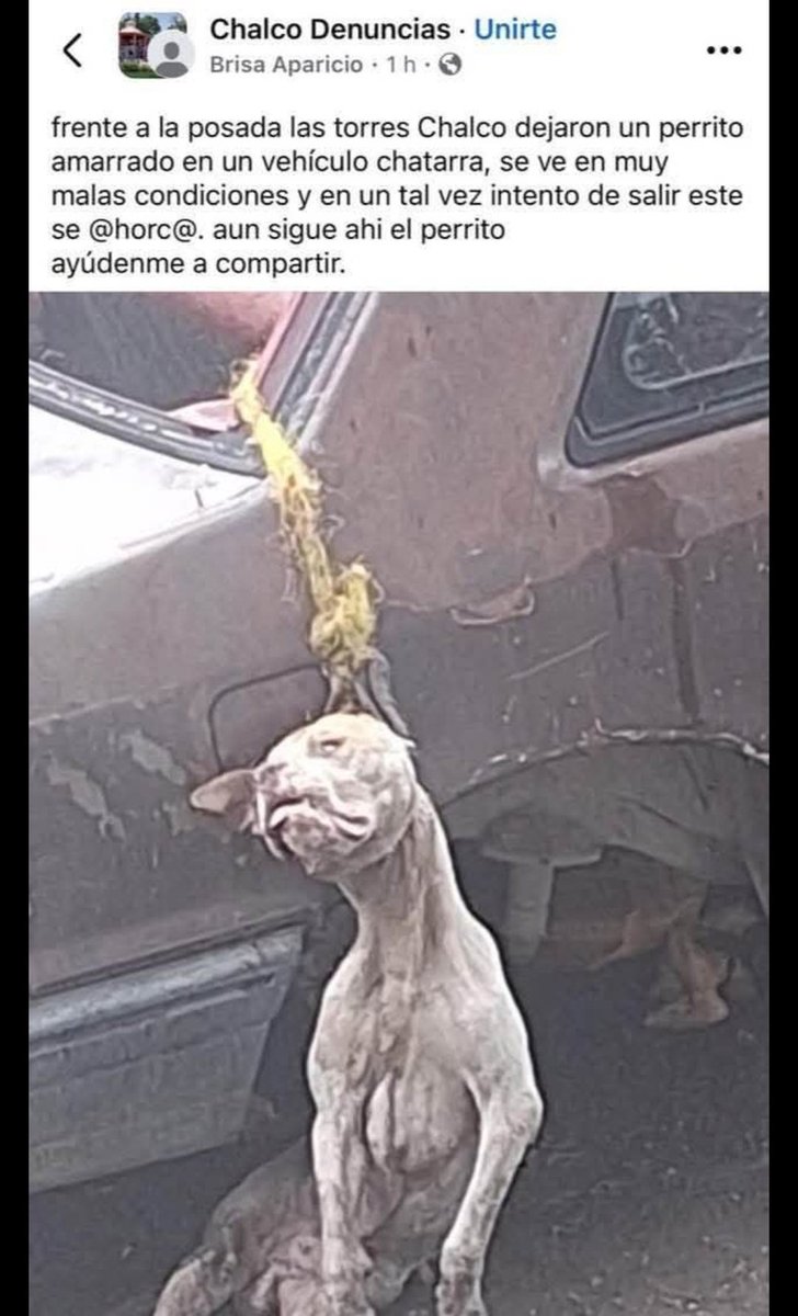 Abogado Animalista (@licanimalista) on Twitter photo Atención <a href="/FiscaliaEdomex/">Fiscalía Edoméx</a> #NoticiaCtiminal en Chalco <a href="/Edomex/">Gobierno del Estado de México</a> Atención <a href="/FiscaliaEdomex/">Fiscalía Edoméx</a> #NoticiaCtiminal en Chalco <a href="/Edomex/">Gobierno del Estado de México</a>
