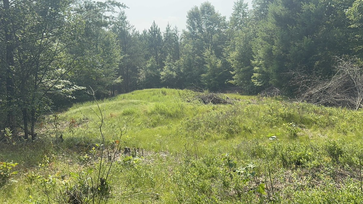 JeffUP_North's tweet image. Probably my favorite stop today was Cranberry Creek Mound group. Multiple mounds along the river, nice walking trail, peaceful area. Besides the mosquitos and ticks, that is. I will be working on a video this week to show a more detailed look at all 5 sites I visited today
