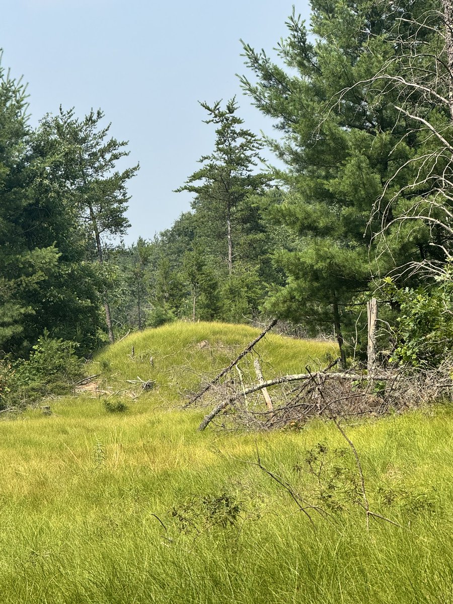 JeffUP_North's tweet image. Probably my favorite stop today was Cranberry Creek Mound group. Multiple mounds along the river, nice walking trail, peaceful area. Besides the mosquitos and ticks, that is. I will be working on a video this week to show a more detailed look at all 5 sites I visited today