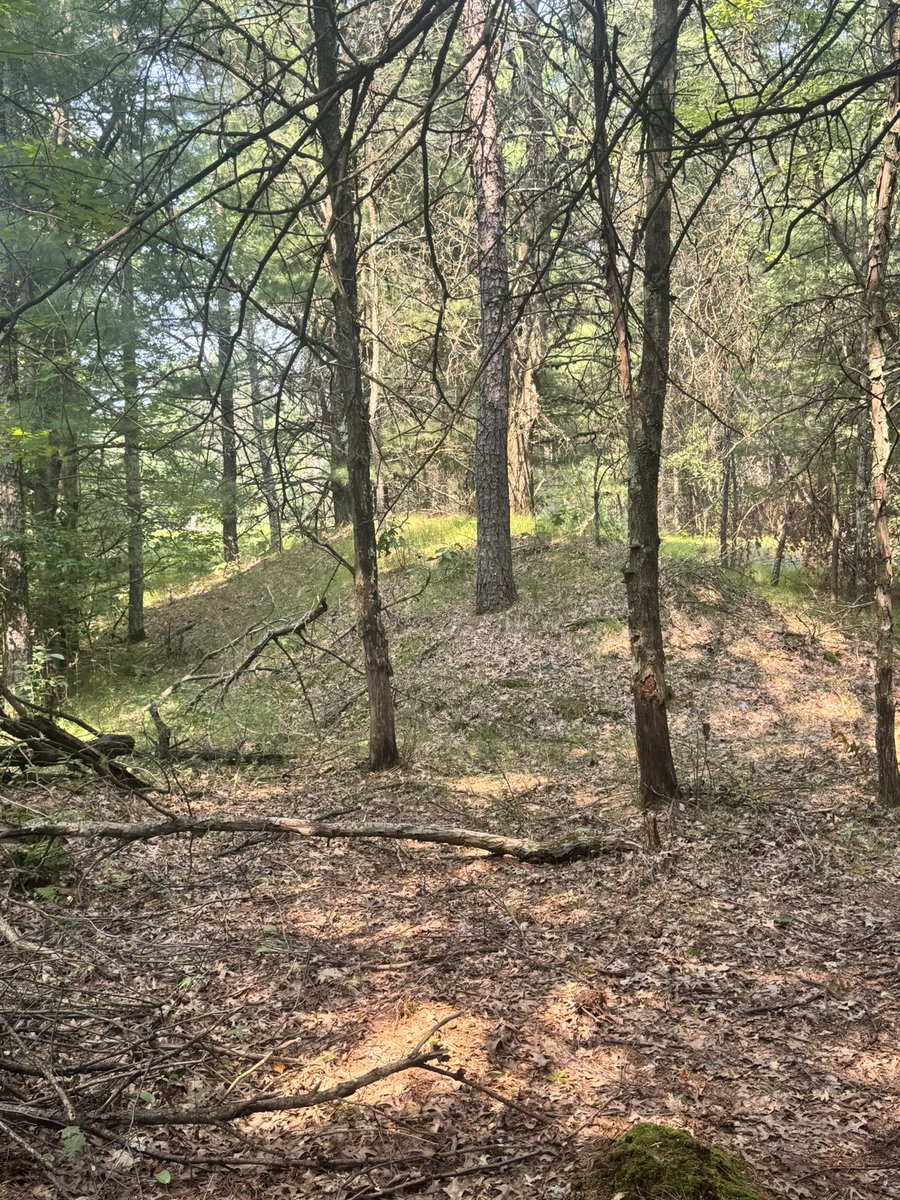 JeffUP_North's tweet image. Probably my favorite stop today was Cranberry Creek Mound group. Multiple mounds along the river, nice walking trail, peaceful area. Besides the mosquitos and ticks, that is. I will be working on a video this week to show a more detailed look at all 5 sites I visited today